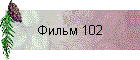  102