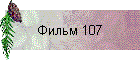  107